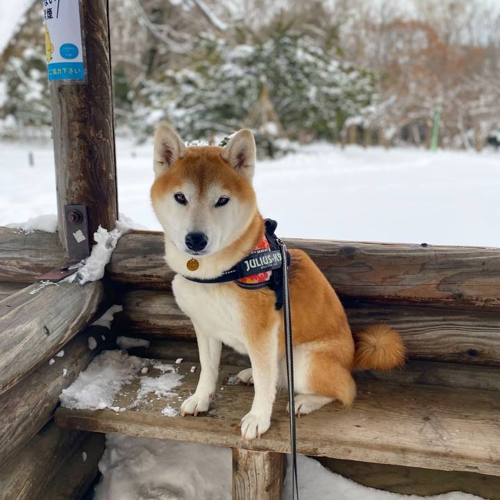 218e93d5 d762 4d2b a082 b6e0d49d98a2 1641521860120