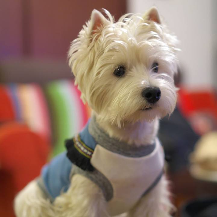 218ec68f 0bbd 40c4 9a61 bba323ccde11 1521066267003