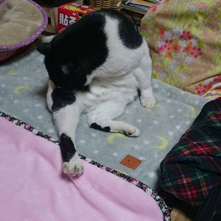 218ee46c 883d 4398 93ed 9e8e77b9e497 1516192132415