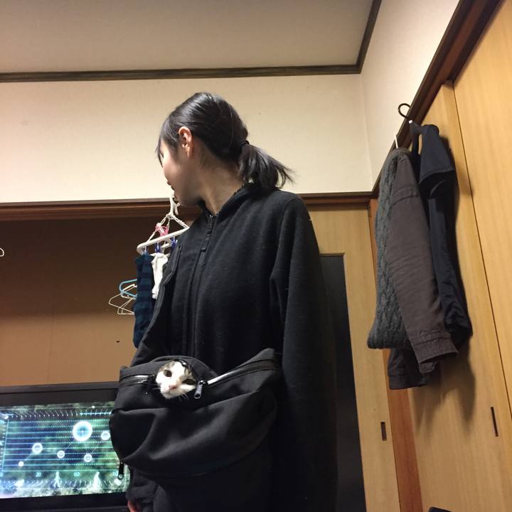 218f0d00 33db 4bba b932 0b7d78efaa87 1546608379140