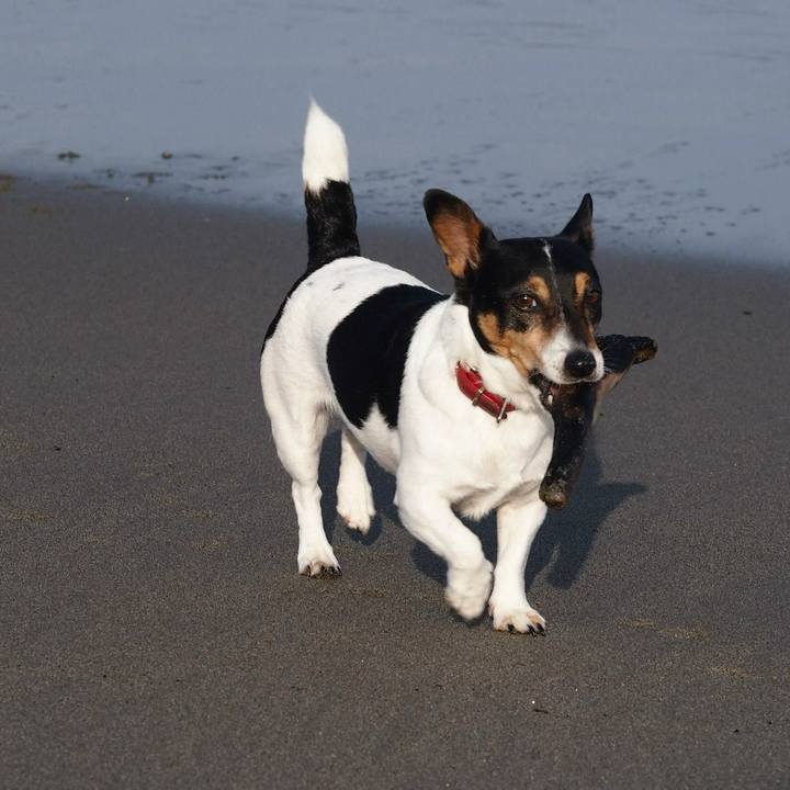 218f2cb3 0111 4661 8f86 28d7d2f5e8f2 1723712450861