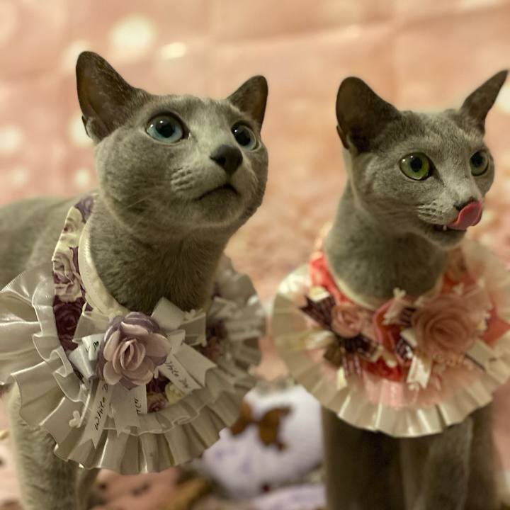 218f386c 7e19 4a7e 9532 2dd08aa47fc1 1678772658006