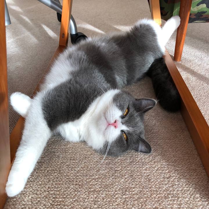 218f3aeb 3390 4147 8dcc d4a64436ad73 1540872629097