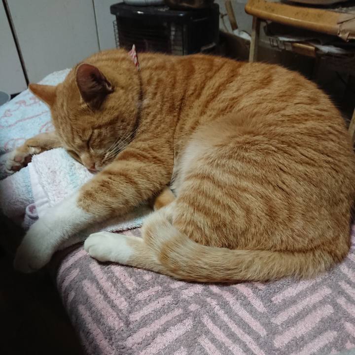 218f5a17 2ea8 4427 bb36 9e145309e6fc 1606904393601