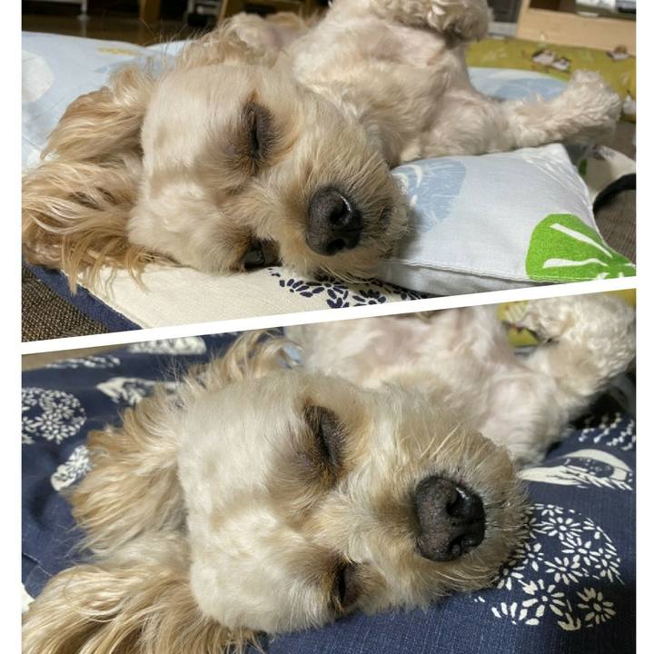 218f7037 939f 459c 8954 da3de90ff5e3 1596026015735