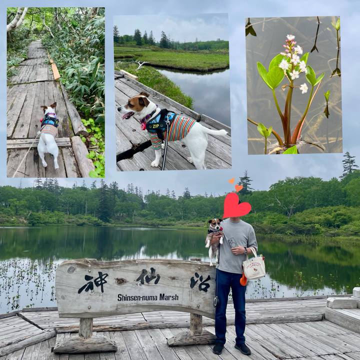 218f73ce f7ab 4bfb a0d5 95aedaa48a7d 1719707758678