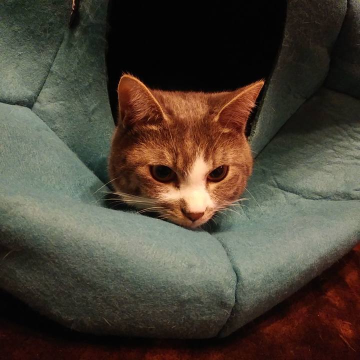 218fe837 4b7c 468d 8af5 e69361639b2e 1581680654489