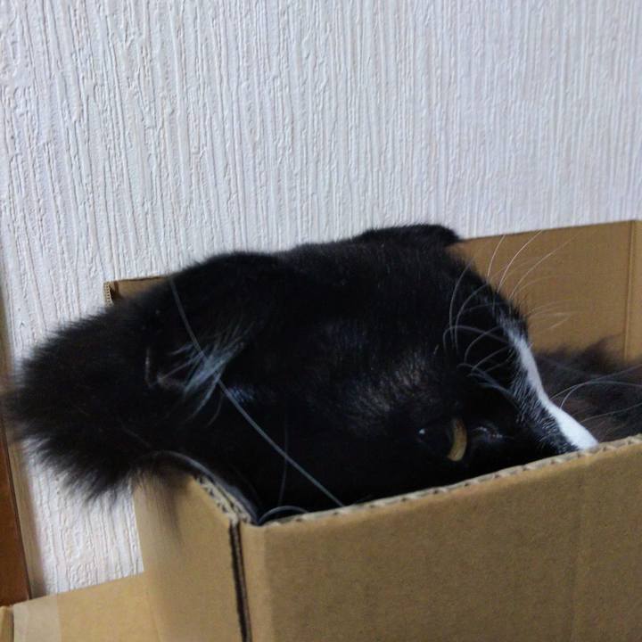 21901d18 56e1 40ce 8b25 4bd5f355c8c7 1650494731212