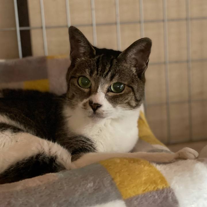 2190256d 6cda 4784 ac0f f40900f38be6 1629160272229