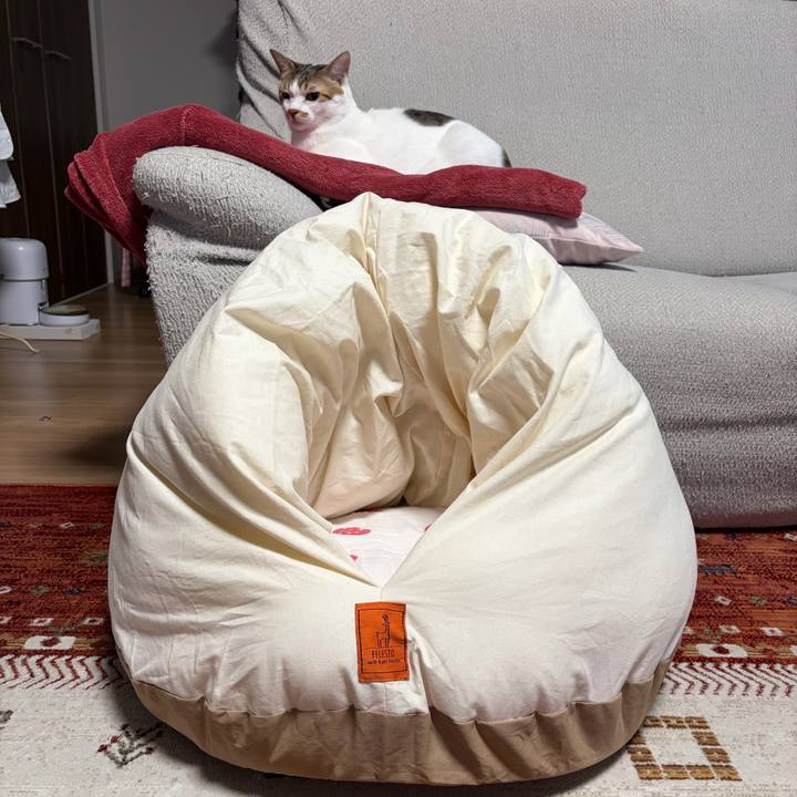 2190354a 1ba2 43fa 9ade 9b8b8842897b 1764888520501