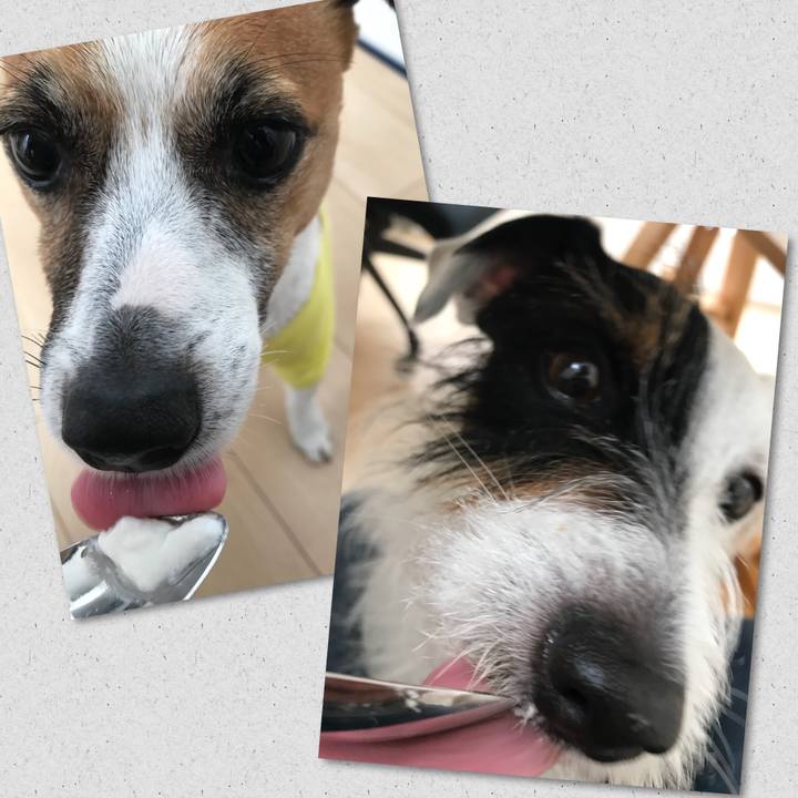 219051d8 ea7e 452c b3a2 0b804ed26cff 1524437587324