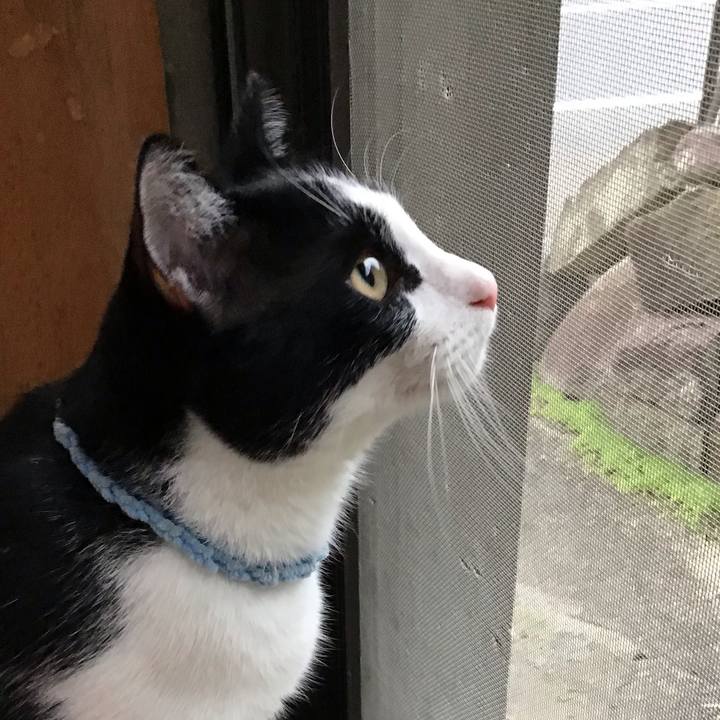 21905552 1e49 4c14 b40d bc09f078b8b4 1660996268923