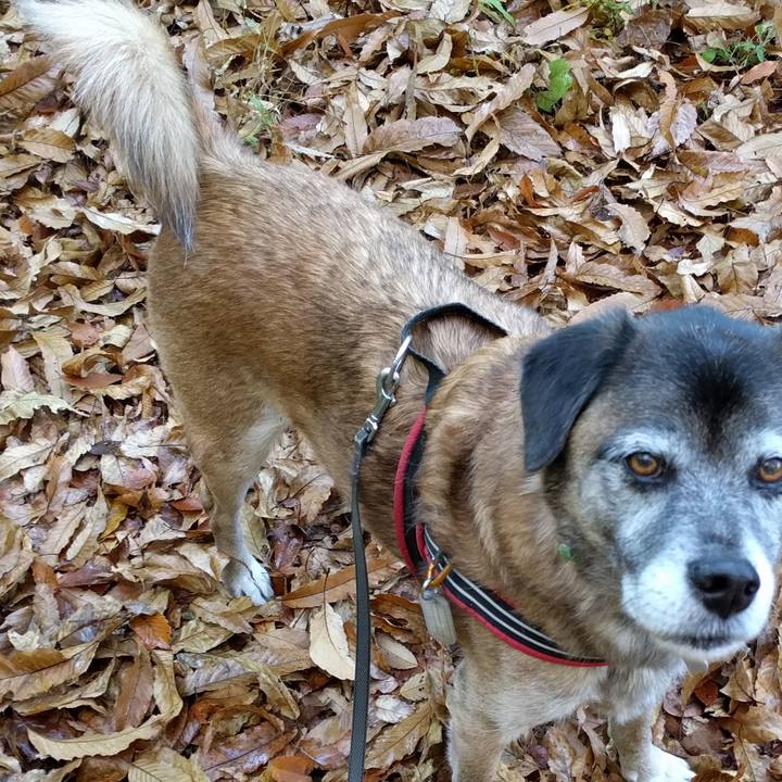 21905beb 4793 430a 8526 01d2fcee9446 1512434551069