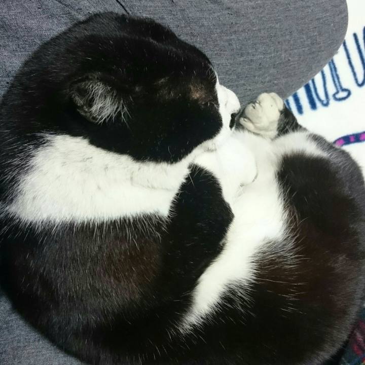 21907da0 0f13 424a a777 4f1ab9c8351d 1512917654702