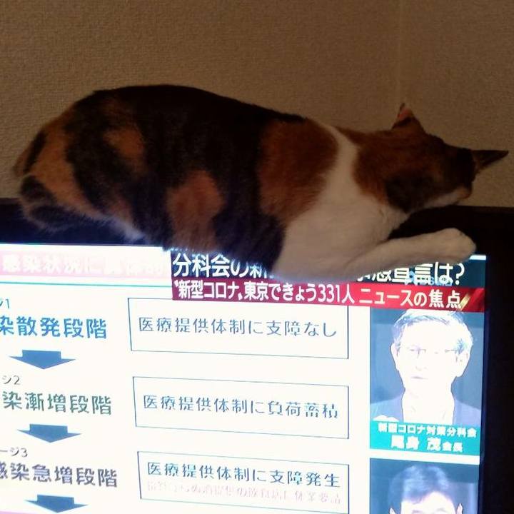 2190979c 6406 4b4b a678 07c2223c888c 1596971489830