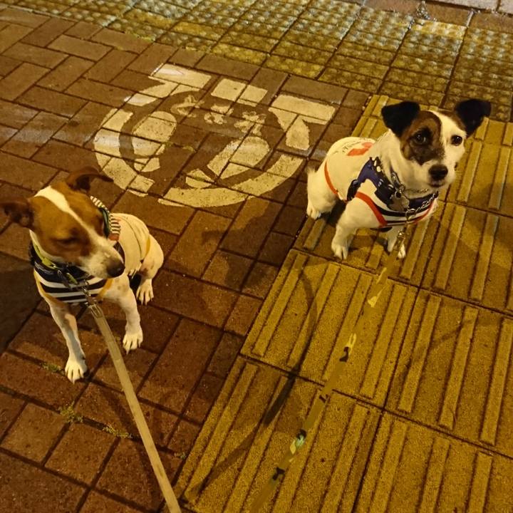 2190abb0 15b1 4900 99e3 e1ae0effbcd9 1559914534618