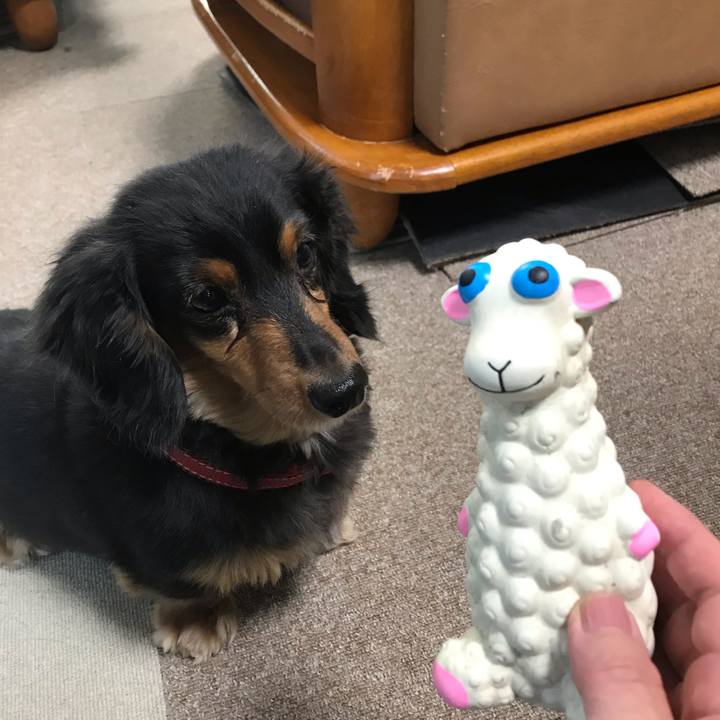 2190b786 235b 415b b53c 8140c2244bf6 1545431000202