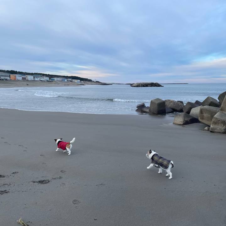 2190f8bc ca48 4ecd 965f 3da8e7e2b97d 1737242746752