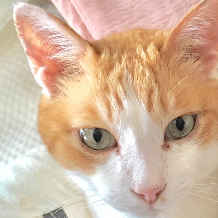 21912045 e8f5 4c1f 9f62 a88e4e43ff64 1560393836871