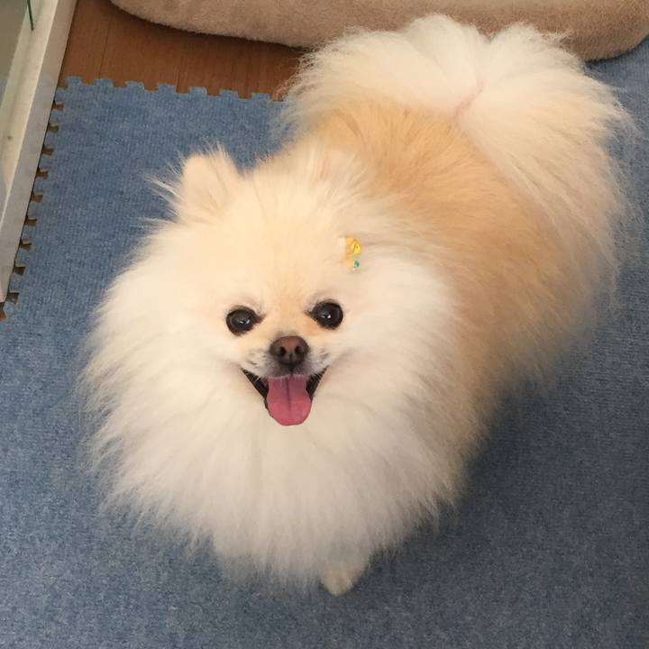 21913340 cac2 469c a295 346b0068d51c 1595908097570