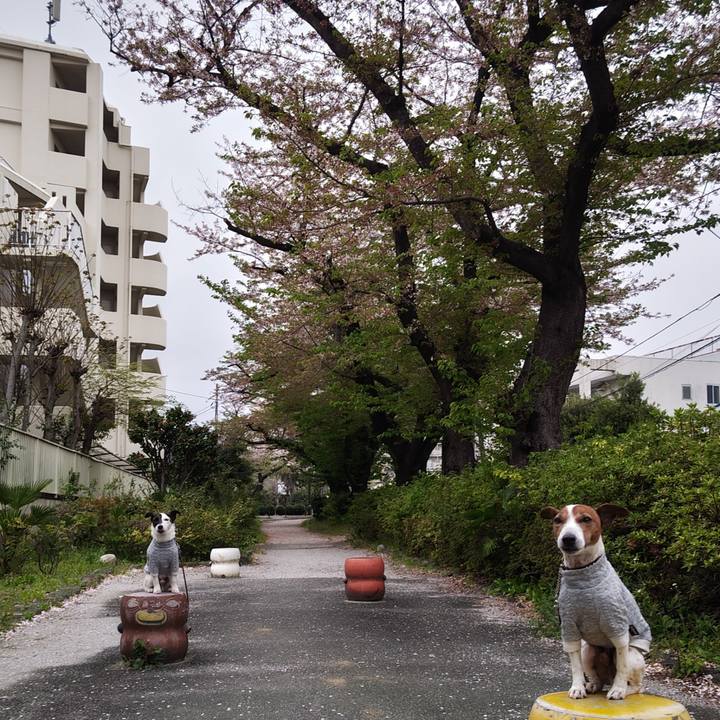 21918294 8b2d 4361 a351 214bae1dc104 1744493003138