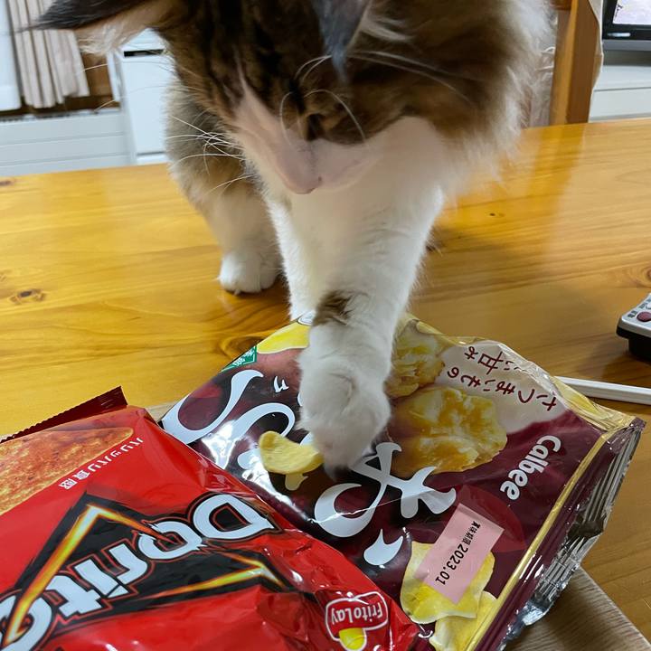 21918900 bc84 4f11 bbb5 416867c85259 1664966716514