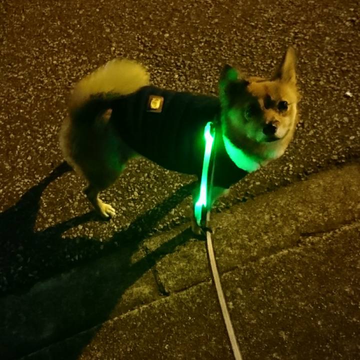 2191938c c32f 49af 8986 79d088460c44 1513692147298