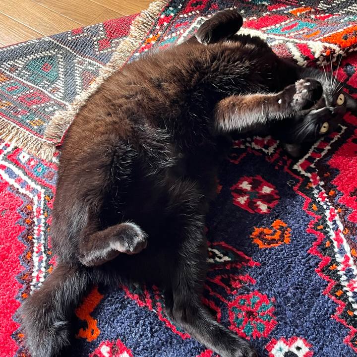 2191b9ed 8ecf 4e32 b306 9cfba41f191c 1766316468332