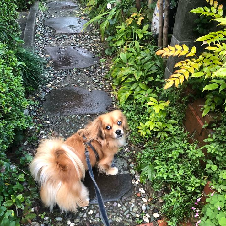 2191ce04 5f91 4d16 bfce 02c12f40398e 1539898527342