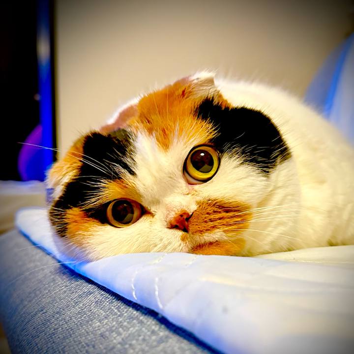 2191ffba 510e 4262 864f a2b7384b5d5e 1670419519831