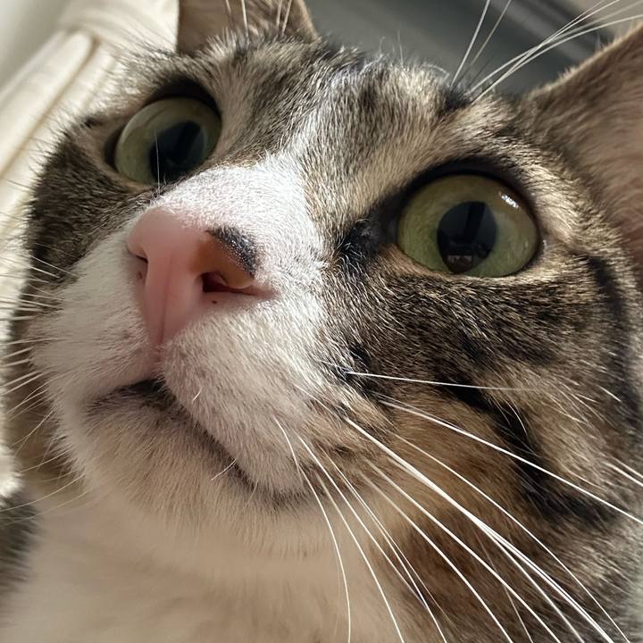 21920072 a433 4ae3 ac5e 66df3cb94a6a 1768052758230