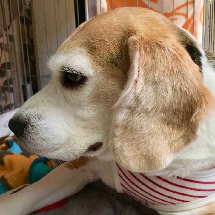 219204f8 29d5 4a6b b041 a28e5833faa8 1557287520391