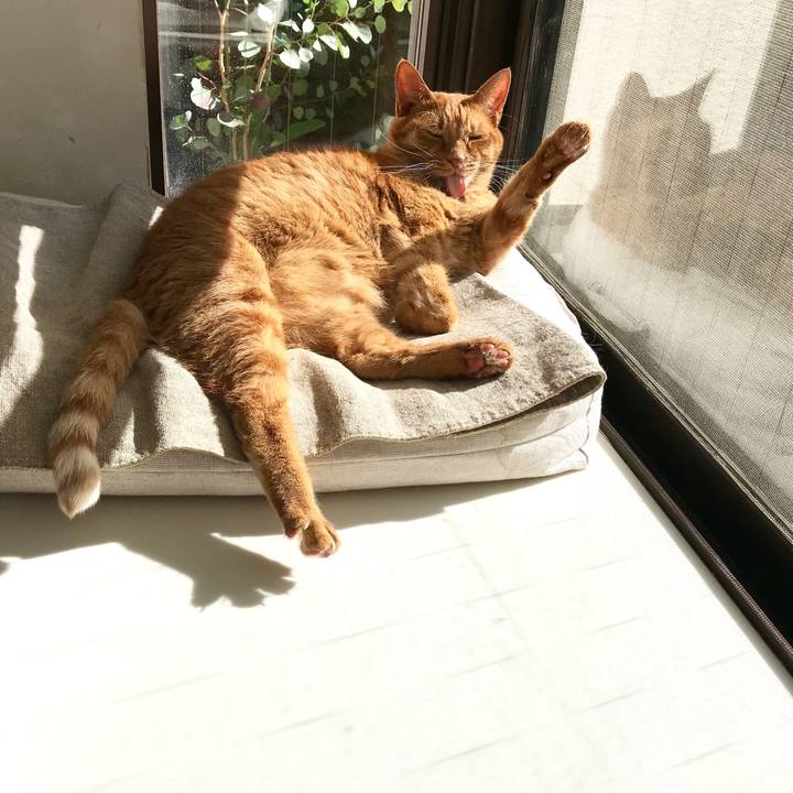 2192766e 9bf1 486d a9a5 b515097e0616 1509683124465