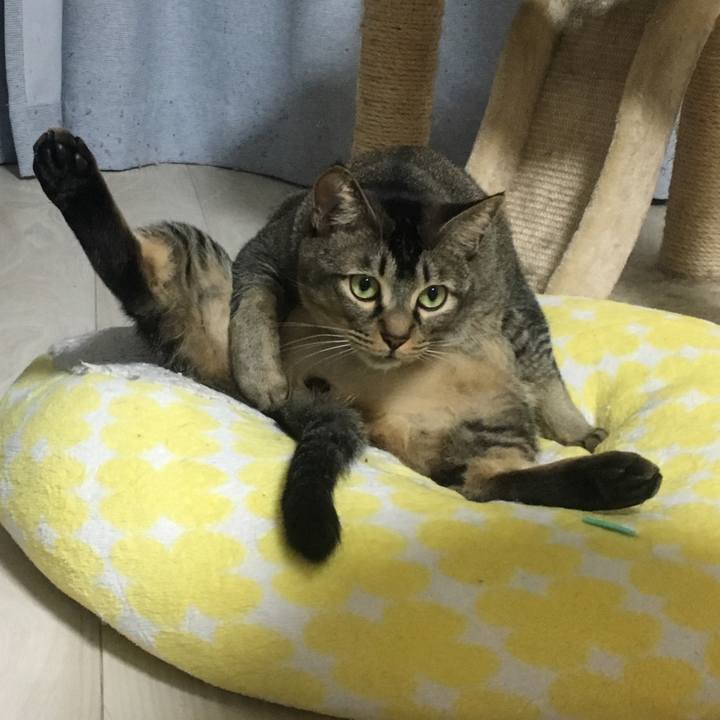 219278c5 4dc8 4424 8ee2 a828b3bf5f63 1515598695086