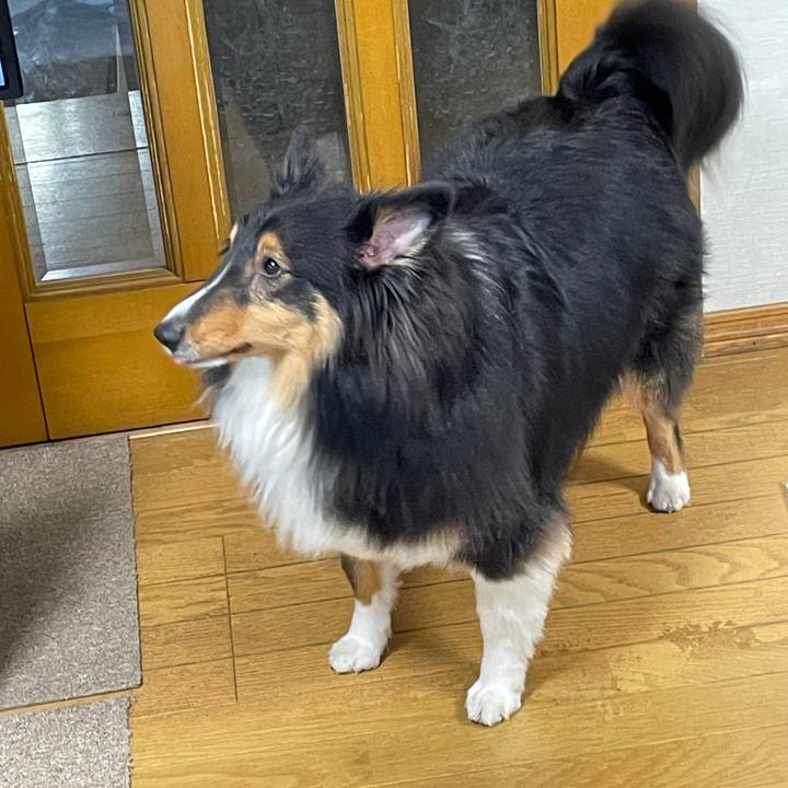 21927de5 c8b5 4e40 9fe0 53bfab341892 1615758048318