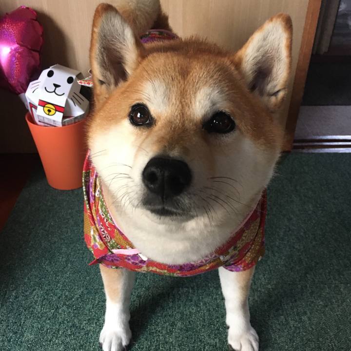 2192aad6 58d7 4adc a856 090c1b48f932 1573429507659