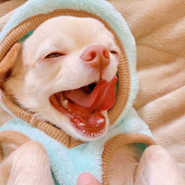 21932f8d affb 44af a776 a33e9ded4f24 1640768652289