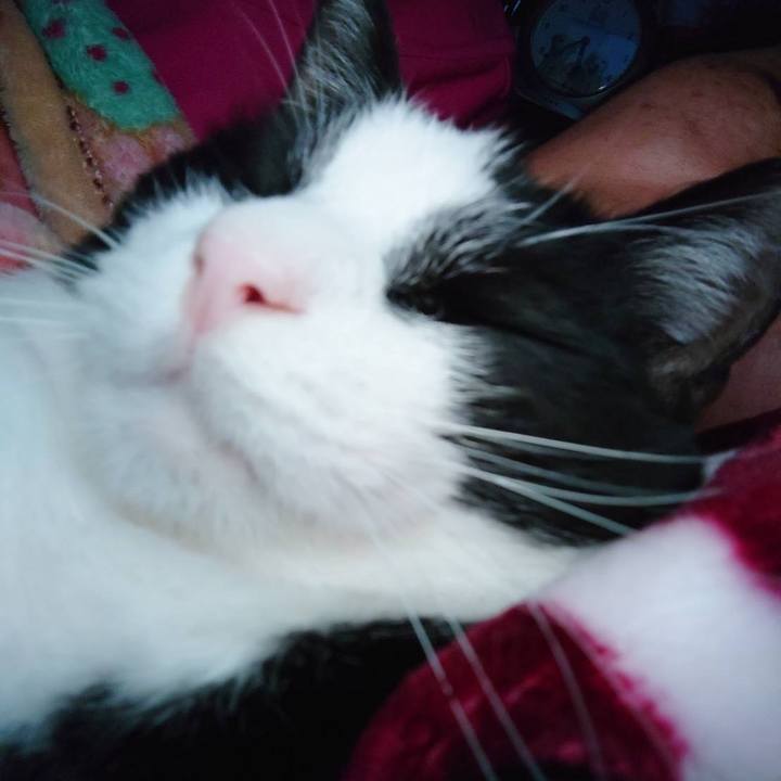 21933d37 8687 4f8b af70 9e207ddba847 1650029122191