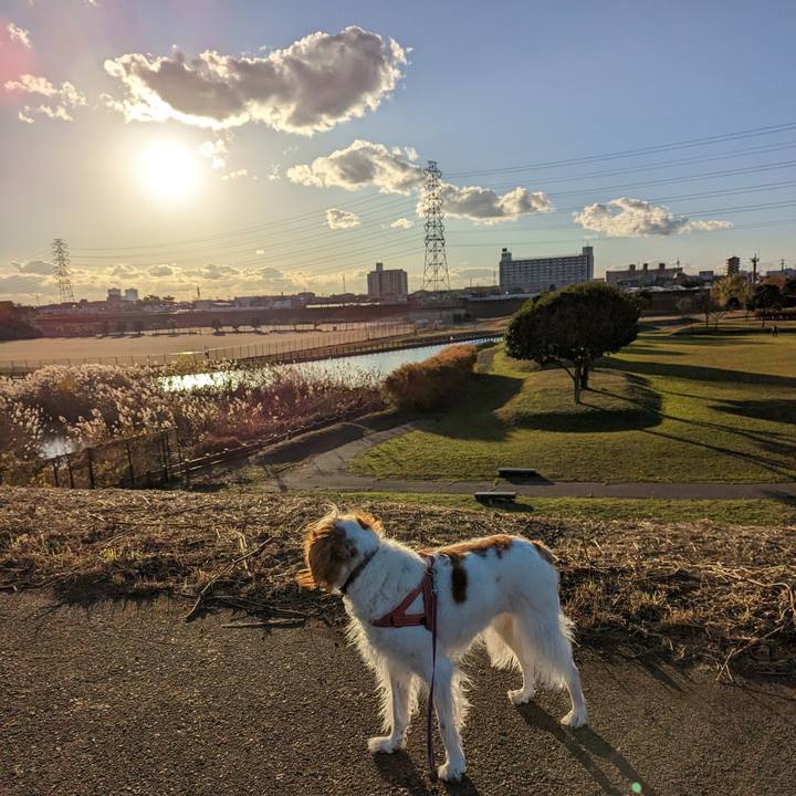 21933e6e a616 4c98 8bfa 26d359ed1fc9 1671005030556