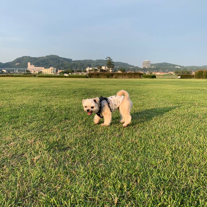 219352a7 769e 41ce 85cf 43fcf86e005e 1592223639595