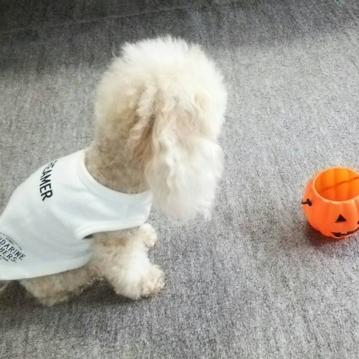 2193565b a13a 4c37 ae2e 1a230d26eaff 1537009307969