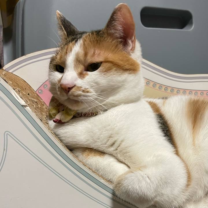 21935f94 7011 48e0 aa0c 9afa32dfb001 1640097302279