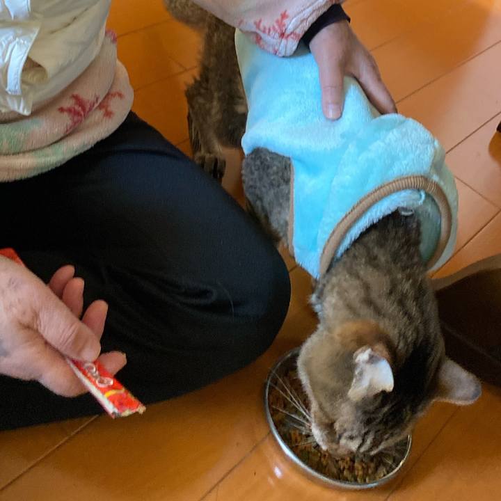 2193bc50 a929 43fb 9cdb 5750f5ffce70 1641214803605