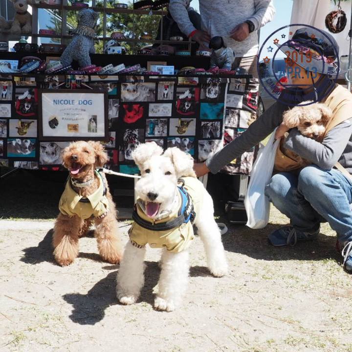 2193c502 de0c 4e7f be13 f9e41e07ee63 1555159445959