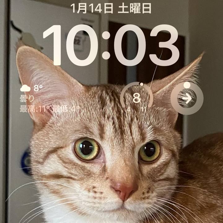 21940a86 85b6 48a8 9c2c bb17fda80f91 1673658242325