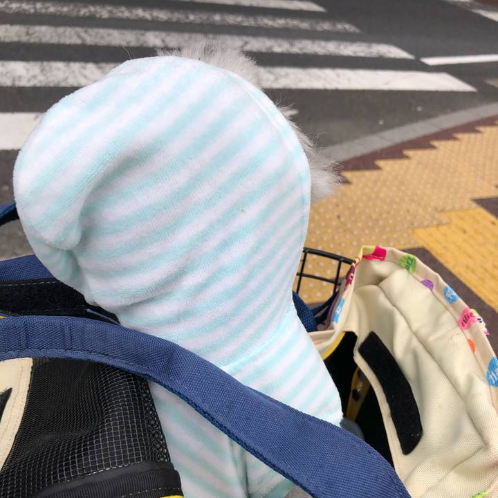 21945d66 b295 4586 a826 b5d6b911f5e8 1632708923787