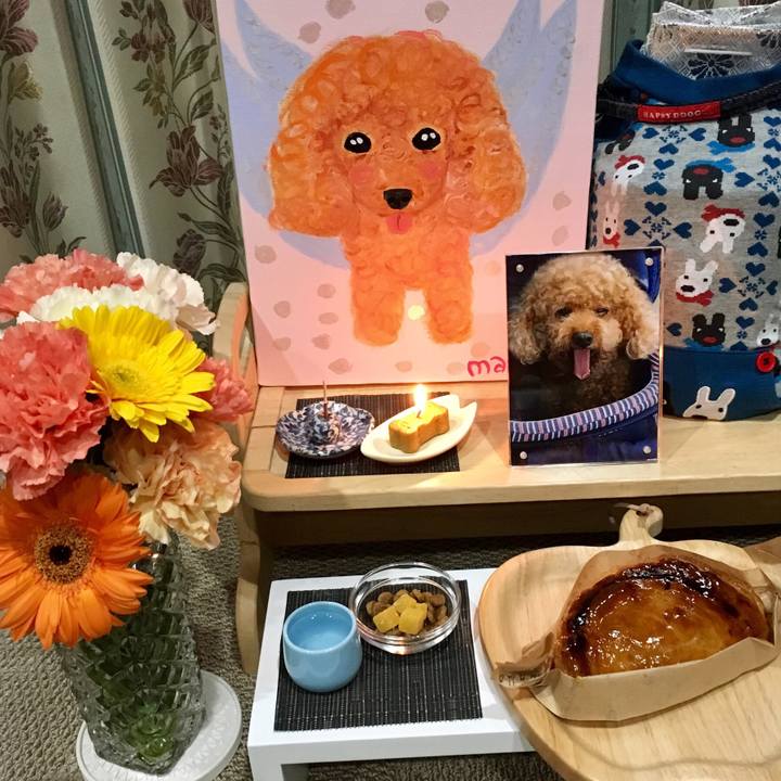 21946ef6 af9f 47e1 84c9 c97fbb6876d9 1538485770274