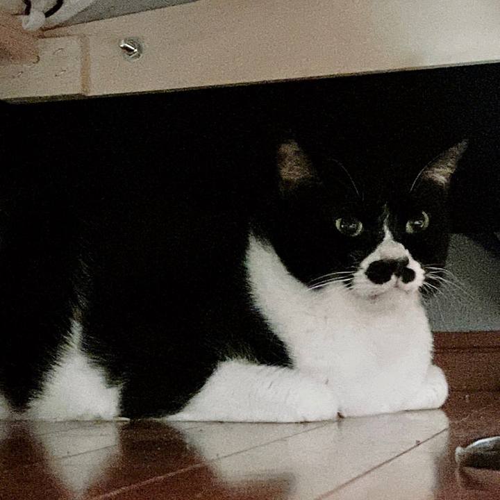 2194a7e6 8003 4dd9 8729 81d4e6be7202 1676373776724