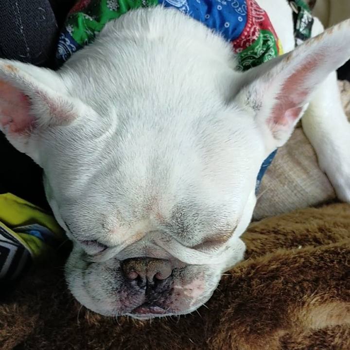 2194b89b ee84 4eb7 a798 07d13ec317ea 1654853869211