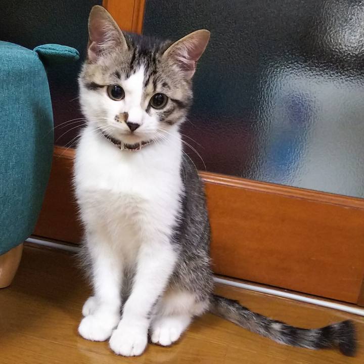 2194ceb8 c788 40b0 858a ca73a90425c4 1610282951226